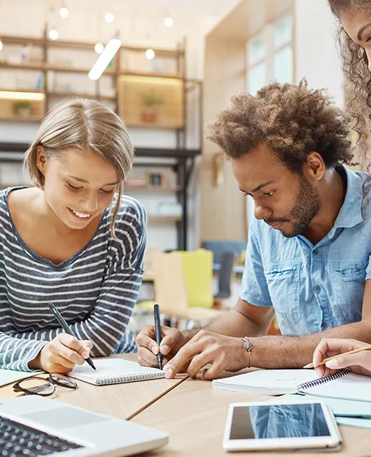 GryphalCode Team and Expertise Overview